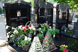 Novo groblje cemetery, grave of Nikola Bojovic