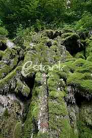 dried waterfall site of the waterfall - green moss