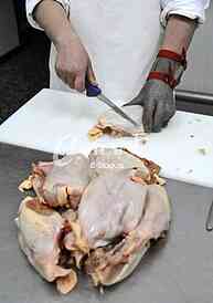 Continuous conveyor of meat of chickens