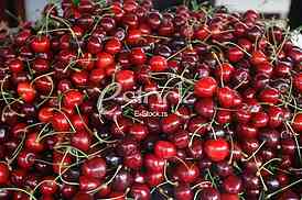 fresh cherries natural cherry to background on the street market