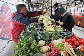  Market Palilula