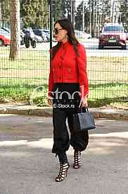 Svetlana Ceca Raznatovic