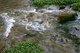 Mountain river flowing at summer forest landscape