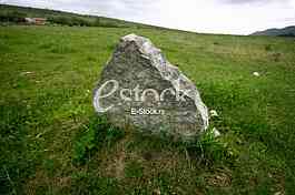 fresh spring green grass background texture straight with stone