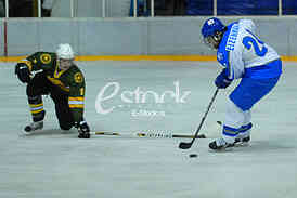 Ice hockey