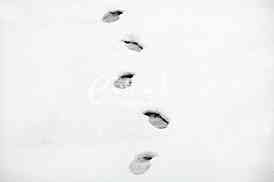 footstep on snow