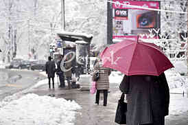 Winter 