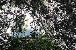 Temple of Saint Sava