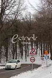 Fruska gora