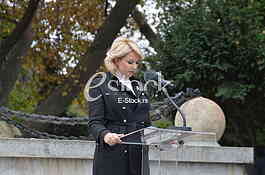 Darija Kisic Tepavcevic