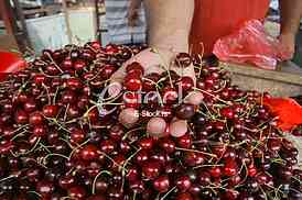 man holding a cherry in hand, fresh cherries natural cherry to background on the street market
