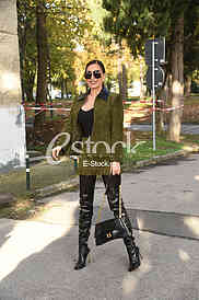 Svetlana Ceca Raznatovic