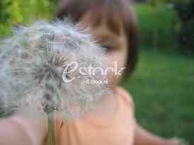 child and dandelion