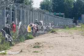 Migrants