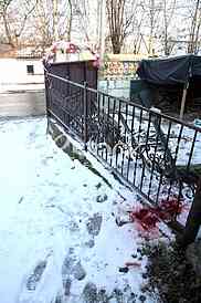 suicide attempt,