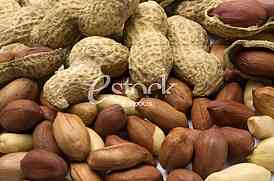 Peanut
