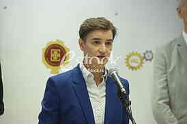 Ana Brnabic
