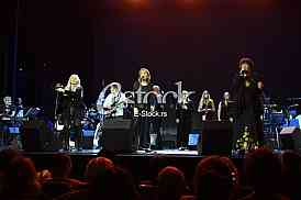 Bilja Krstic Suncokret Snezana Stojanovic Gorica Popovic