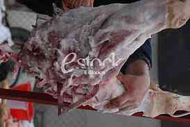 Pig slaughter