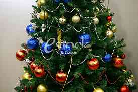 Christmas tree in a full length