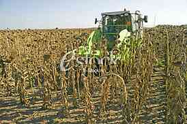 Agriculture