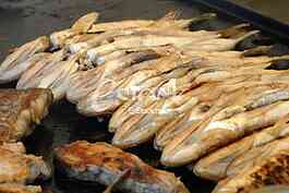  food preparation