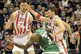 Red Star- Panathinaikos basketball game