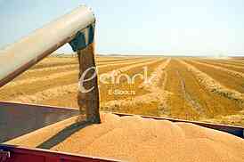 Agriculture