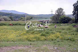The South Morava