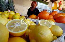 lemon,market,lemon