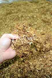  Marking of 10 years Japan Tobacco International