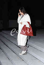 Svetlana Ceca Raznatovic