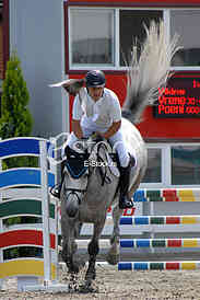 Equestrian Sport