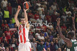 CRVENA ZVEZDA vs PANATHINAIKOS ATHENS