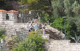Novak Djokovic wedding