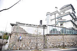 House of singer Svetlana Ceca Raznatovic