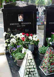 Novo groblje cemetery, grave of Nikola Bojovic