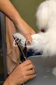 Grooming