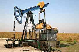 Oil