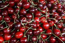 fresh cherries natural cherry to background on the street market