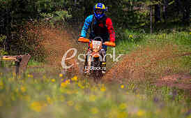 X-Cross endure race held on Tara Serbia