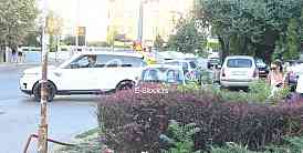 Marko Janjus Aneli Ahmic