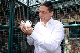 Nikola Sandulovic