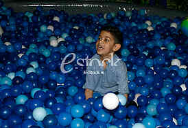 ljuba stankovic, pinkova zvezdica