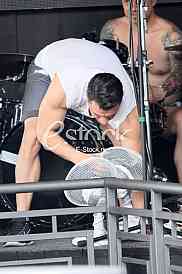 Bojan Tasic Dzaja Bojan Zlatanovic Tokan