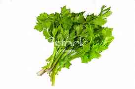 Parsley