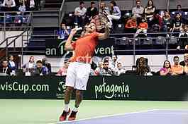 Davis Cup_Nenad Zimonjic_Photo_e-stock_Katarina Cvijovic