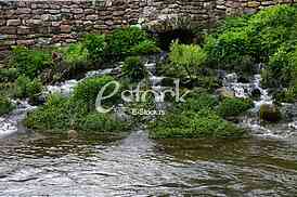 Mountain river flowing at summer forest landscape