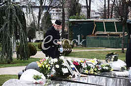 Glogovac pomen