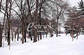winter